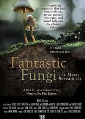 神奇的真菌的海报