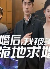 离婚后我被美女跪地求的海报