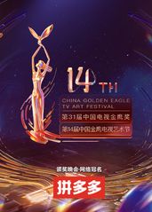 第十四届中国金鹰电视的海报
