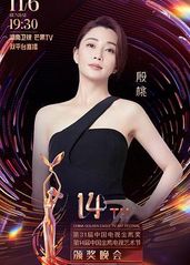 第31届中国电视金鹰的海报