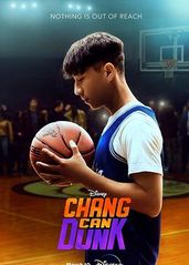 篮球少年张的海报