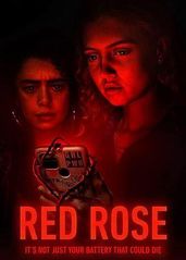 红玫瑰的海报