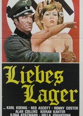 纳粹集中营的爱与火的海报