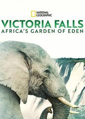 维多利亚瀑布：非洲的的海报