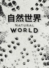 自然世界   第一季的海报