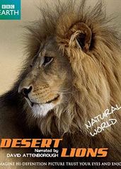 自然世界：沙漠狮的海报