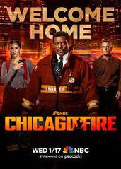 芝加哥烈焰 第十二�季的海报
