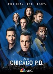 芝加哥警署   第九的海报