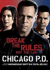 芝加哥警署 第二季的海报