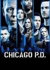 芝加哥警署 第六季