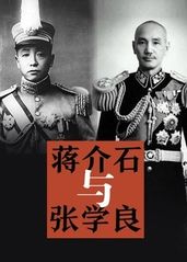蒋介石与张学良的海报
