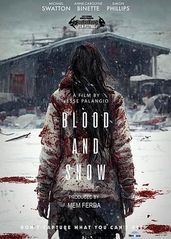 血与雪的海报