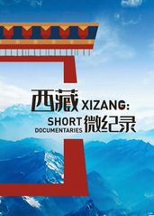 西藏微纪录 第二季的海报