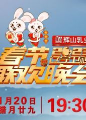 辽宁卫视春节联欢晚会的海报