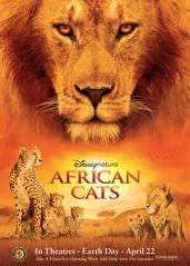 非洲猫科(原声版)的海报