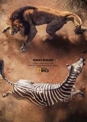 非洲致命动物 第六季的海报