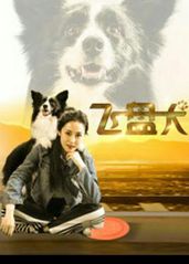 飞盘犬 (2020)的海报