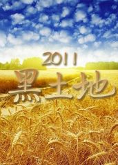 黑土地2019的海报