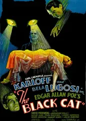 黑猫(1934)的海报