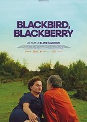 黑鸟黑鸟黑莓的海报