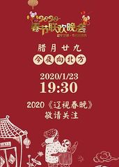 2020年辽宁卫视春的海报