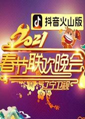 2021年辽宁卫视春的海报