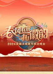 2024安徽春晚的海报