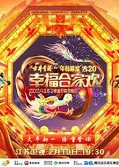 2024江苏卫视龙年的海报