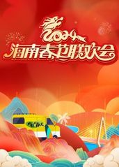2024海南春节联欢的海报
