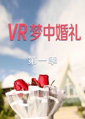 VR梦中婚礼   第的海报