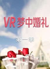 VR梦中婚礼第一季的海报